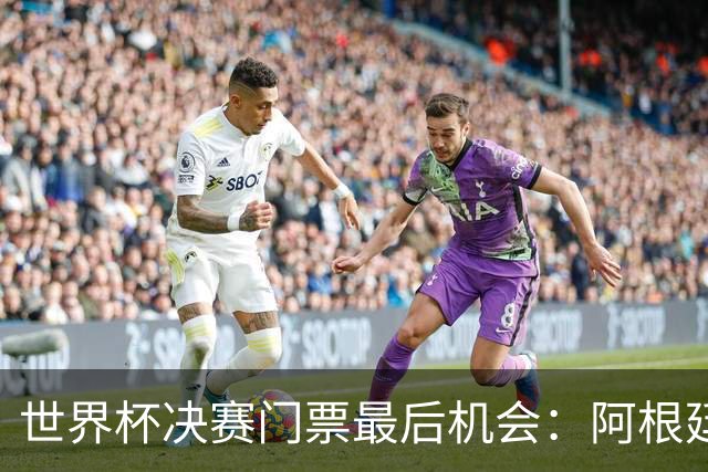 世界杯决赛门票最后机会：阿根廷对西班牙，起价9000美元