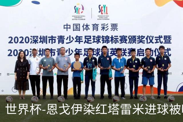 世界杯-恩戈伊染红塔雷米进球被吹 10人比利时0-0伊朗