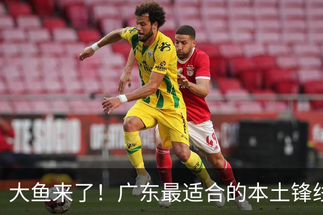 大鱼来了！广东最适合的本土锋线曝光，朱芳雨可能完成“2换1”？