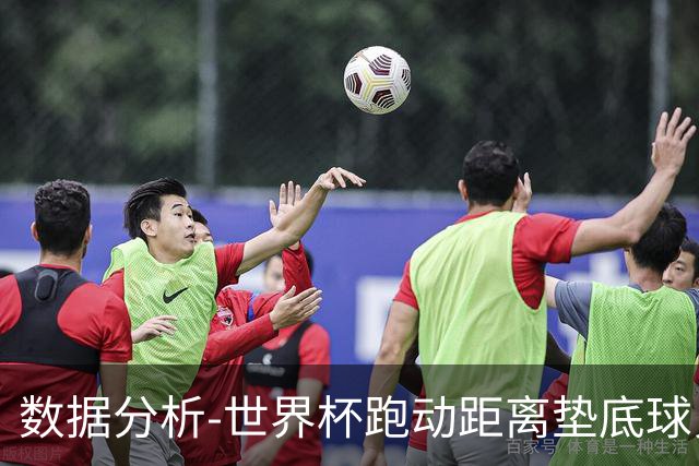 数据分析-世界杯跑动距离垫底球员竟是他 场均步行比例最高