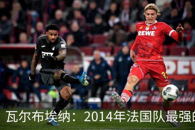 瓦尔布埃纳：2014年法国队最强的是博格巴，最被低估的是马图伊迪