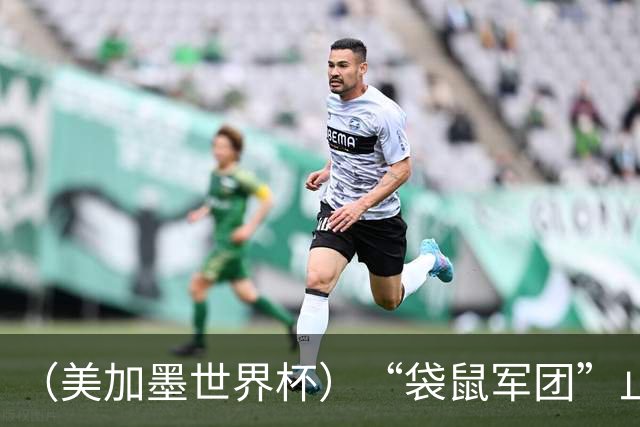 （美加墨世界杯）“袋鼠军团”止步32强 悉尼球迷难掩失落